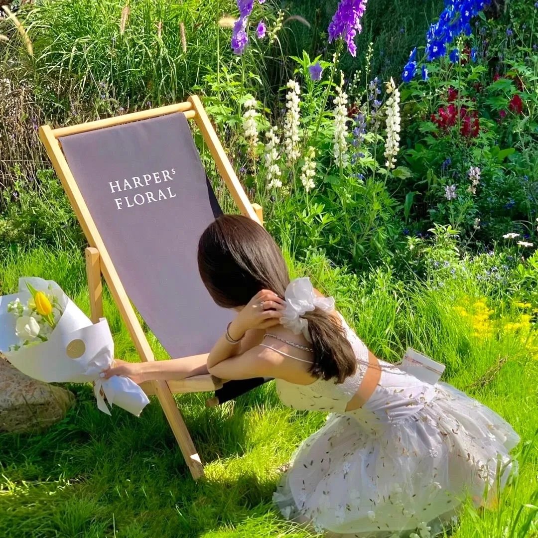 犬夜叉：镜中的梦幻城